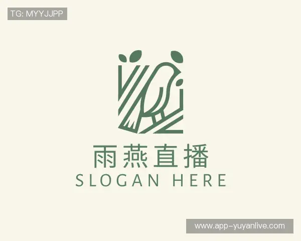 认识雨燕体育直播