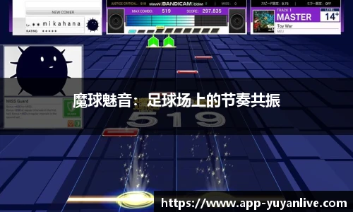 雨燕高清直播