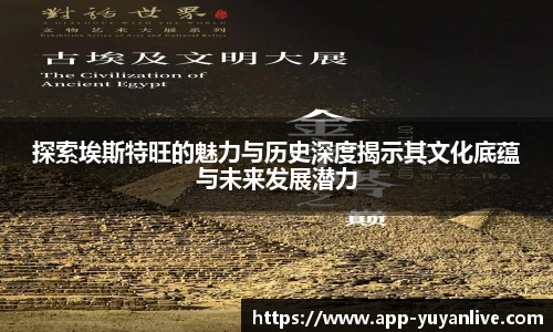 雨燕高清直播