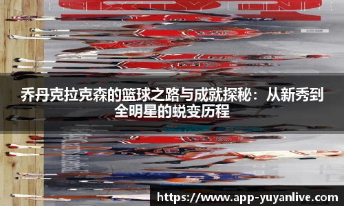 雨燕高清直播