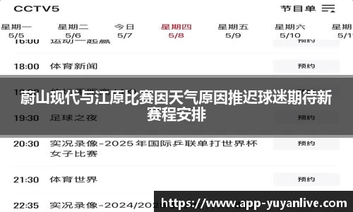 雨燕体育