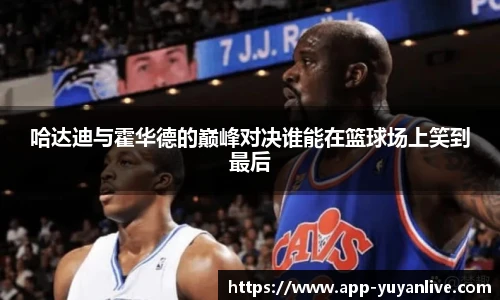 雨燕高清直播