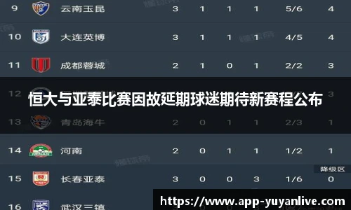 雨燕高清直播